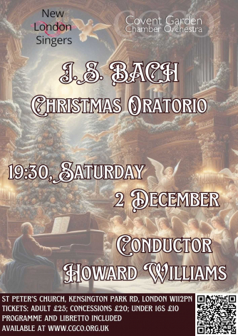 Flyer CGCO NLS December 2023