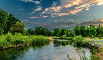 Havant Chamber Orchestra