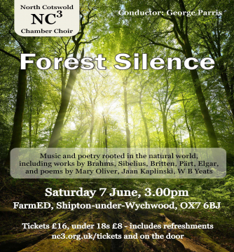 NC3 Forest Silence 2025