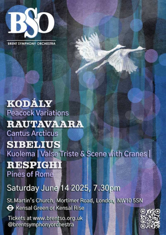 Brent Symphony Orchestra's Summer Concert