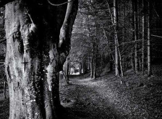 Image © Martyn J Adelman