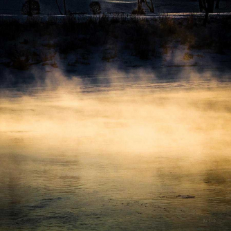 In this earthly paradise