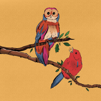 The Owl and the Nightingale (c) Tasia Graham