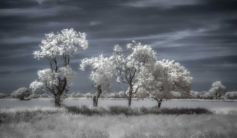 Nonesuch Orchestra Lunchtime Concert