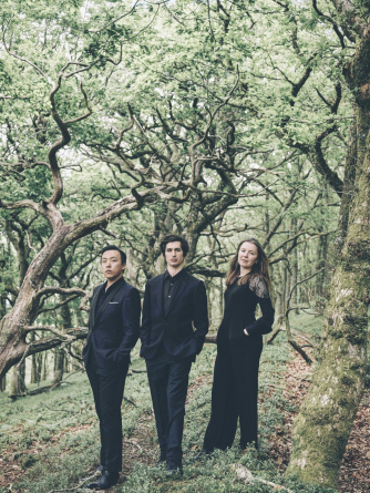 Trio Havisham (c) Julian Broad