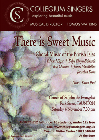 Concert Poster