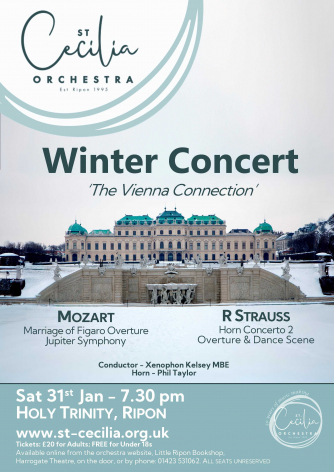 The Vienna Connection