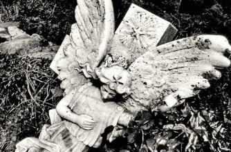 Image © Martyn J Adelman