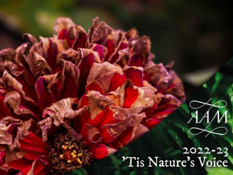 Academy of Ancient Music – Handel's Il Trionfo del Tempo