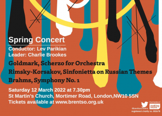 Brent Symphony Orchestra