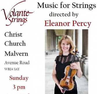 Volante Strings