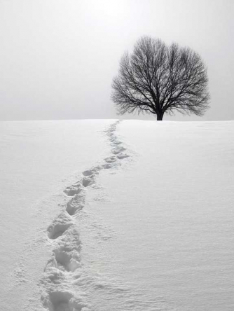 Schubert's "Winterreise" (Winter Journey)