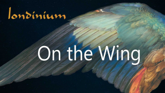 Londinium: On the Wing