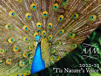 Academy of Ancient Music – Bach The Musical Offering