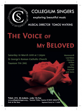 Concert poster