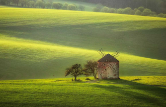 Nonesuch Orchestra Lunchtime Concert