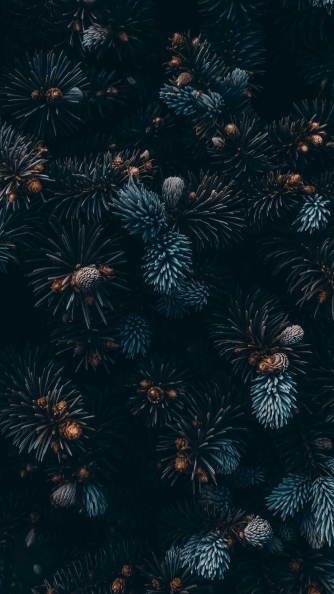 Photo: Khashayar Kouchpeydeh – Unsplash