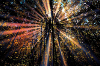 Duruflé’s Requiem with Vivace Chorus