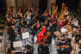 Albion Orchestra