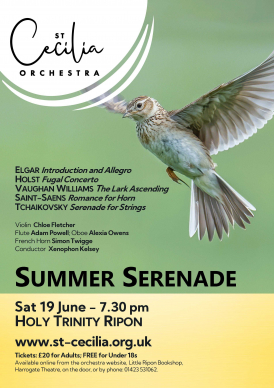 Summer Serenade