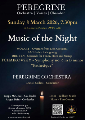 Peregrine Orchestra - Music of the Night