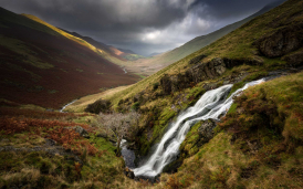 Wihan Quartet Masterclass