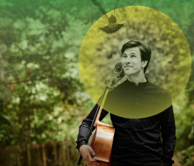 Brighton Philharmonic Orchestra: The Protecting Veil